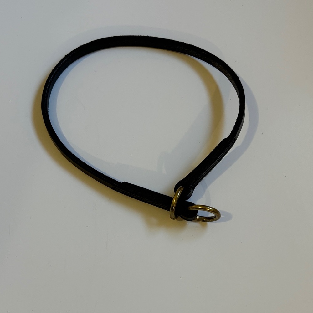 NEW Classic Black Slip Dog Collar with Gold Rings